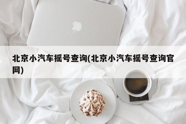 北京小汽车摇号查询(北京小汽车摇号查询官网)