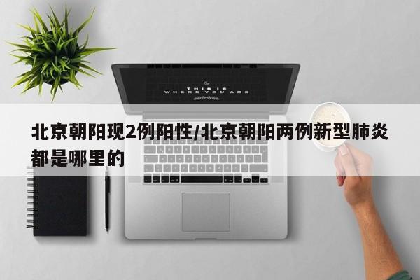北京朝阳现2例阳性/北京朝阳两例新型肺炎都是哪里的
