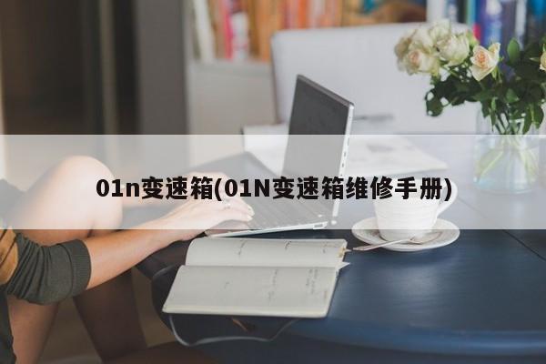 01n变速箱(01N变速箱维修手册)