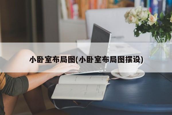 小卧室布局图(小卧室布局图摆设)