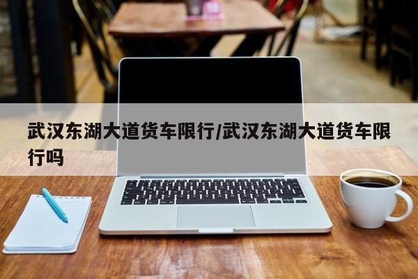 武汉东湖大道货车限行/武汉东湖大道货车限行吗
