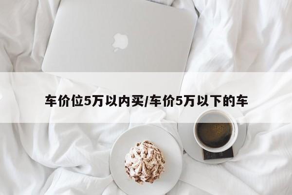 车价位5万以内买/车价5万以下的车