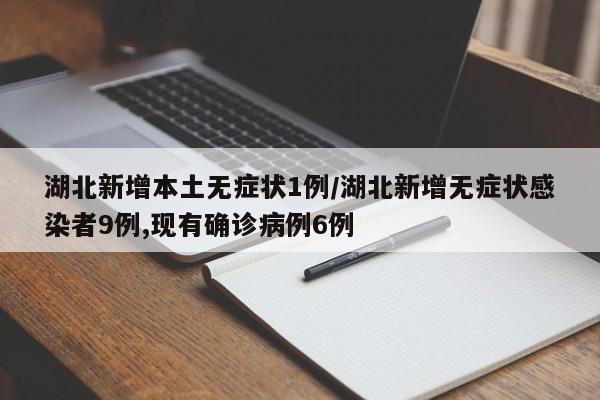湖北新增本土无症状1例/湖北新增无症状感染者9例,现有确诊病例6例