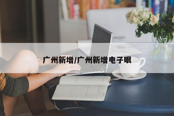 广州新增/广州新增电子眼