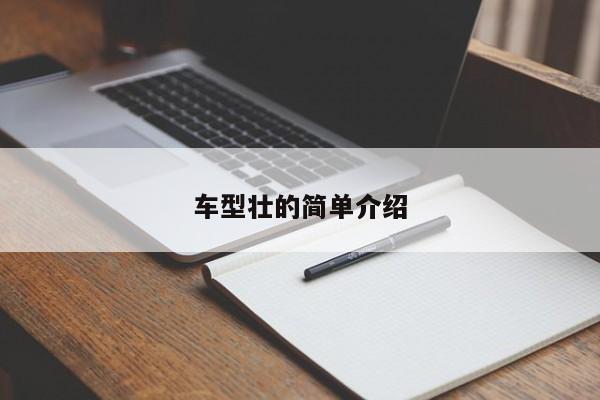 车型壮的简单介绍